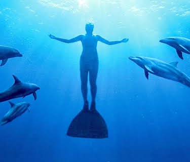 The Cove (2009)
