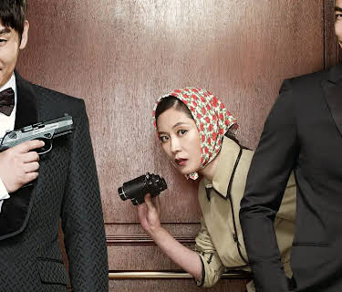 The Spy (2013)