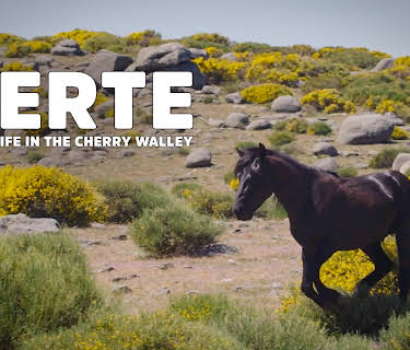Jerte, Wildlife in the Cherry Valley (2017)