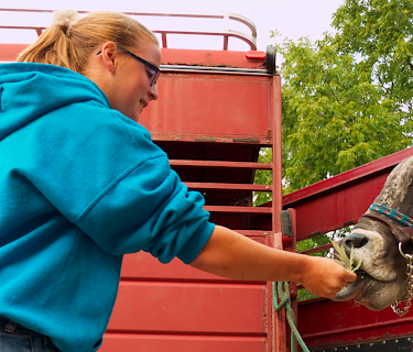 The Incredible Dr. Pol: Blue Ribbon Kids (2016)