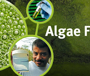 Algae Fuel (2009)