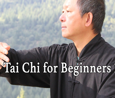 Yang Tai Chi for Beginners Part 1 (2015)