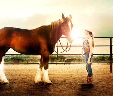 A Horse Story (2015)