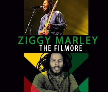 Ziggy Marley - Live at The Filmore (2016)