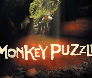 Monkey Puzzle (2008)
