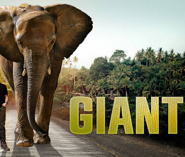 Giants