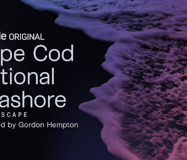 Cape Cod National Seashore (2020)