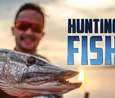Hunting Fish