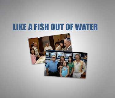 Like A Fish Out Of Water (English Subtitled) (2007)