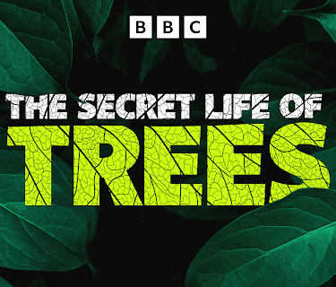 The Secret Life of Trees