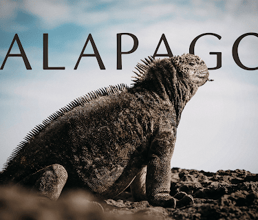Galapagos