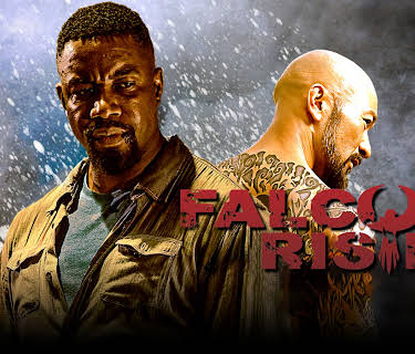 Falcon Rising (2014)