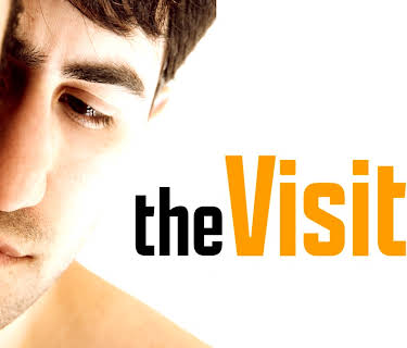 The Visitor (2011)
