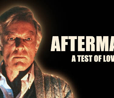 Aftermath: A Test of Love (1991)