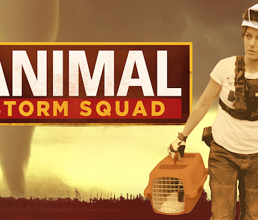 Animal Storm Squad Season 1