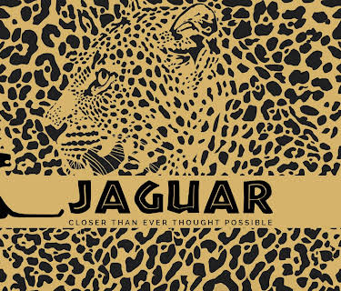 Jaguar: Closer Than Ever Thought Possibale (2013)