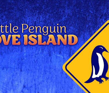 Little Penguin Love Island (2024)