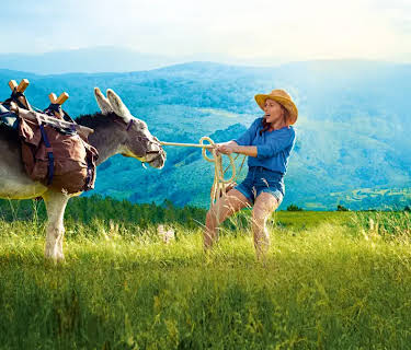 My Donkey, My Lover & I (2022)