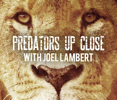 Predators Up Close with Joel Lambert Season 1