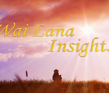 Wai Lana Insights