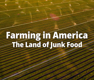 Farming in America The Land of Junk Food (2025)