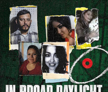 In Broad Daylight: The Narvarte Case (2022)