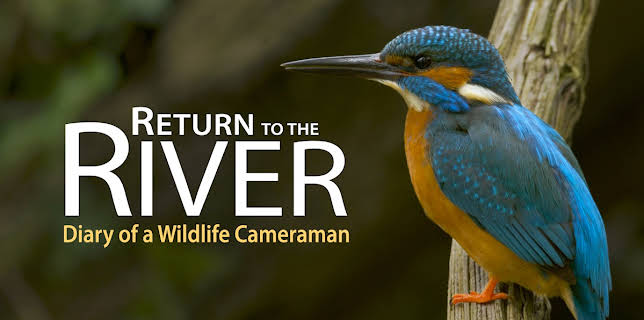 Return to the River: Diary of a Wildlife Cameraman (2015)