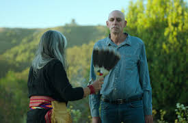 Cómo cambiar tu mente: Capítulo 1: LSD