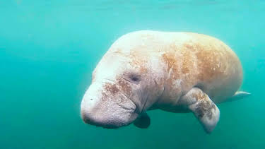 22:00: mareTV | NDR Fernsehen | 12/4 2025