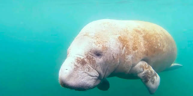 11:30: mareTV | NDR Fernsehen | 12/7 2025