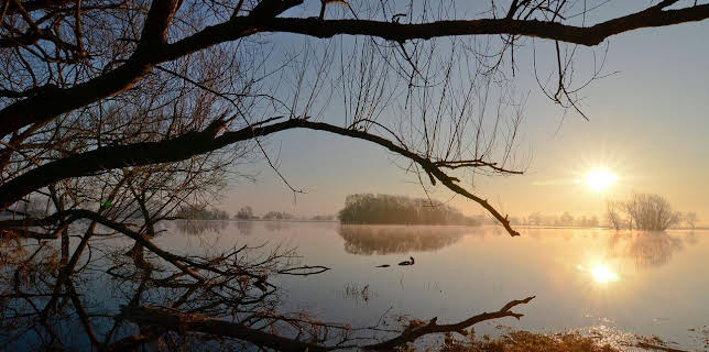 21:00: Die Elbe - Von Sachsen zum Wattenmeer | SWR Fernsehen BW | 11/16 2025