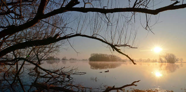 Die Elbe - Von Sachsen zum Wattenmeer