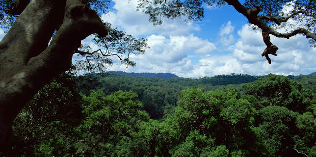 4:00 PM: Planet Earth (S1 E8) (S1) | Yesterday | 11/16 2025