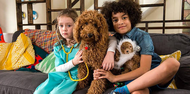 12:45 PM: Waffle the Wonder Dog (S1) | Cbeebies | 1/16 2026