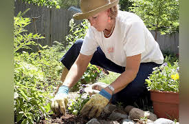 The Science of Gardening: Aftercare for New Plants