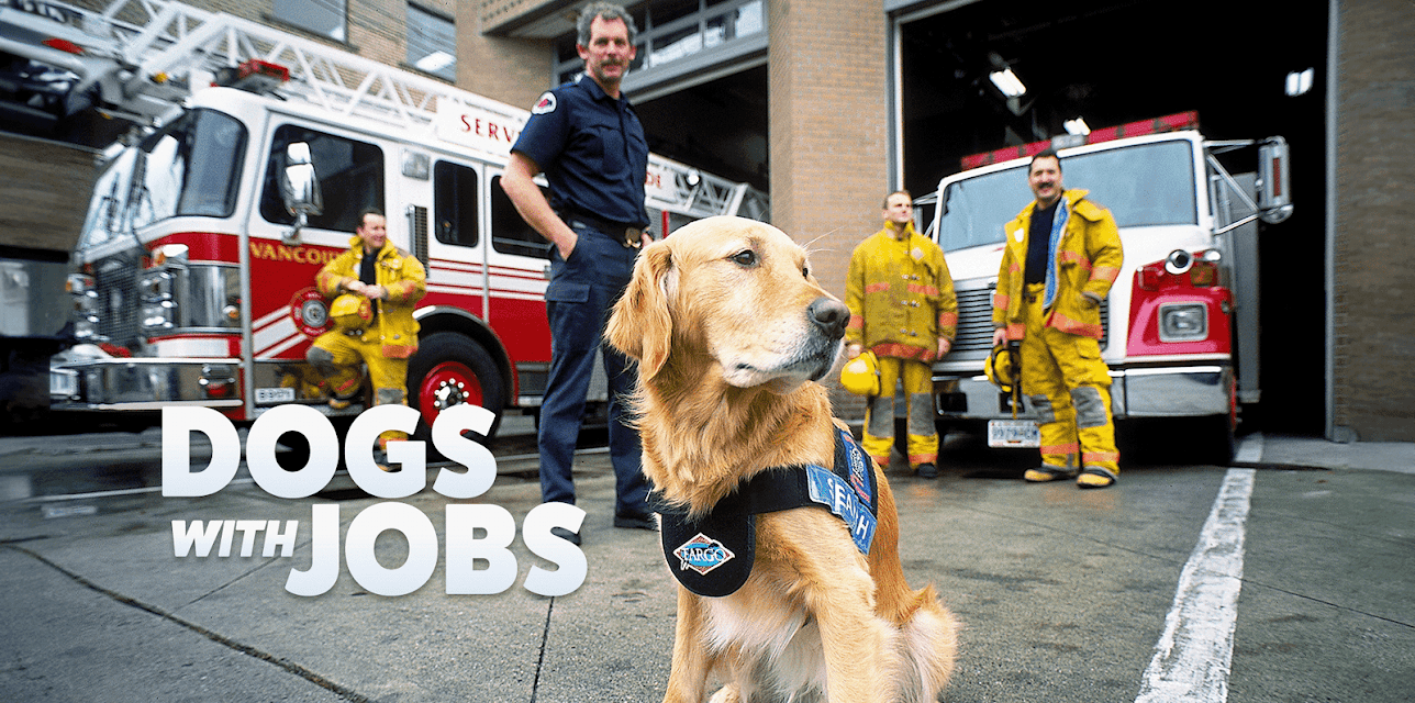 Dogs with Jobs
