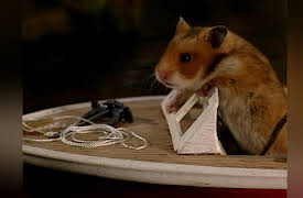 Once Upon A Hamster Season 1: The Boothouse