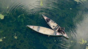 8:00 PM: Bear Grylls - Wild Reckoning (S1) | BBC One Wales | 1/19 2026