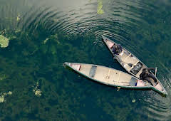 Bear Grylls - Wild Reckoning