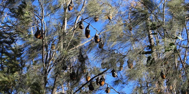 18:45: Wunder der Wissenschaft | ZDFinfo | 11/12 2025