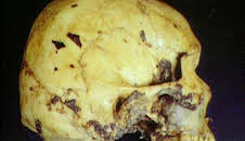 Medical Detectives - Geheimnisse der Gerichtsmedizin