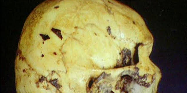 02:05: Medical Detectives - Geheimnisse der Gerichtsmedizin | VOX | 12/6 2025