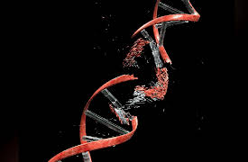 The Aging Brain: Is Aging a Disease?