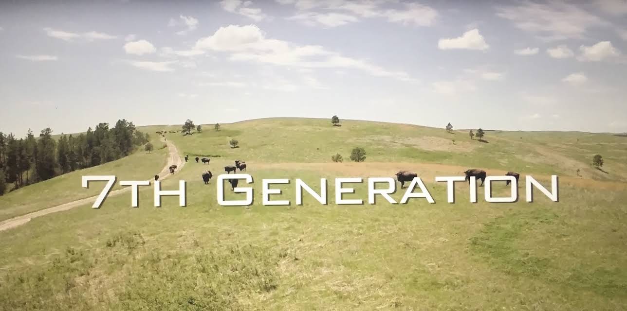 7th Generation (2015)