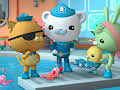 Octonauts