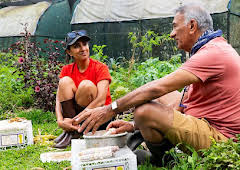 Celebrity Race Across the World