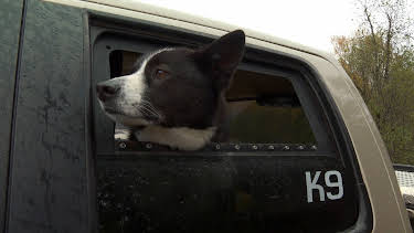00:45: Rugged Justice (S3 E4) (S3) | Animal Planet | 5/27 2026