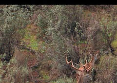 Tradición montera en La Noria