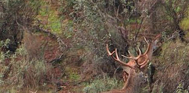 19:55: Tradición montera en La Noria | Caza y Pesca | 12/13 2025