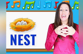 Phonics Alphabet Sing and Sign with Patty Shukla: Phonics: Letter N